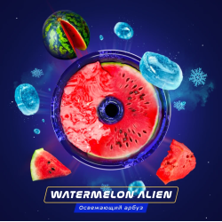 Паста Space Smoke BASIC Watermelon  Alien (Арбуз с  холодком) 30 гр